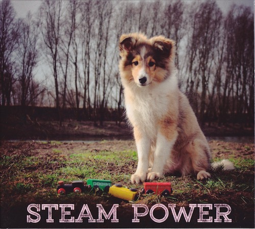 steam power cd-hoes