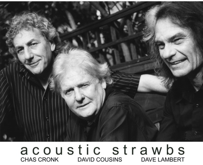 Acoustic Strawbs