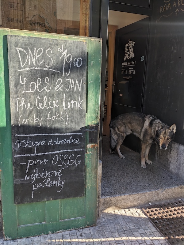 Skáld Coffee met hond, foto Honza Bartošek