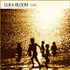 luka bloom - tribe