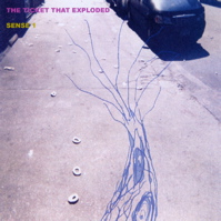 the ticket that exploded - sense 1